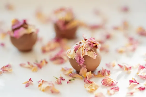 Casino Sun Palace Android/iOS Forrit